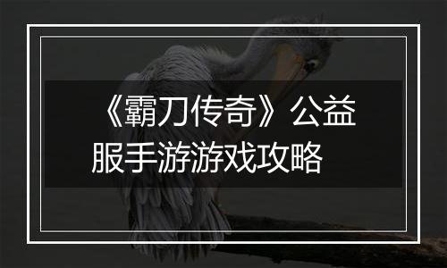 《霸刀传奇》公益服手游游戏攻略