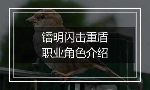 镭明闪击重盾职业角色介绍