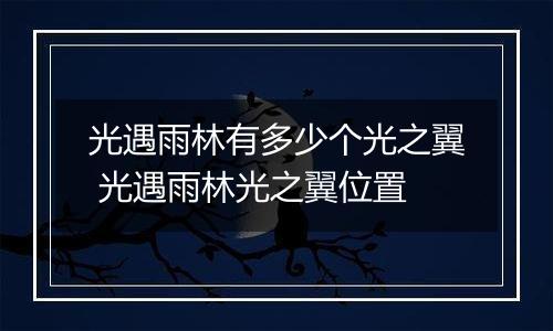 光遇雨林有多少个光之翼 光遇雨林光之翼位置