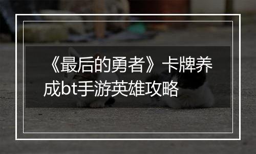 《最后的勇者》卡牌养成bt手游英雄攻略