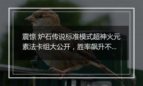 震惊 炉石传说标准模式超神火元素法卡组大公开，胜率飙升不是梦