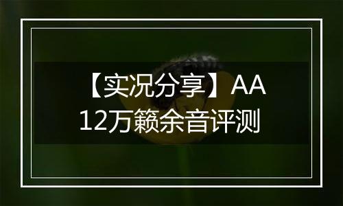 【实况分享】AA12万籁余音评测
