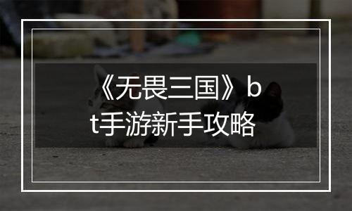 《无畏三国》bt手游新手攻略