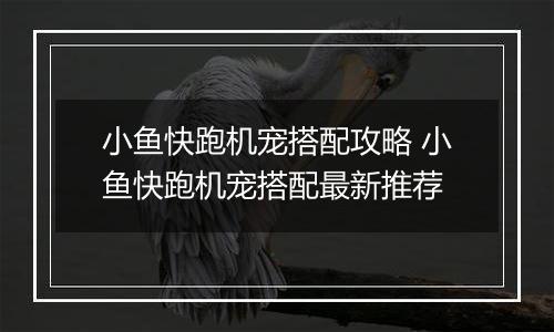 小鱼快跑机宠搭配攻略 小鱼快跑机宠搭配最新推荐