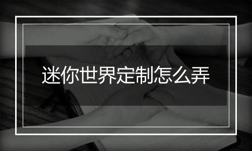 迷你世界定制怎么弄