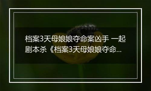 档案3天母娘娘夺命案凶手 一起剧本杀《档案3天母娘娘夺命案》剧本答案攻略