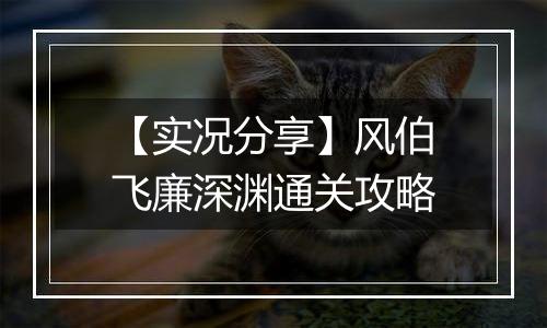 【实况分享】风伯飞廉深渊通关攻略