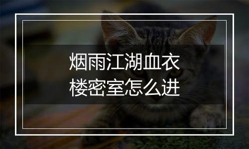 烟雨江湖血衣楼密室怎么进