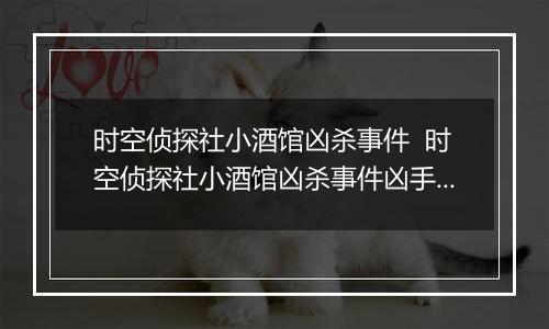 时空侦探社小酒馆凶杀事件  时空侦探社小酒馆凶杀事件凶手是谁