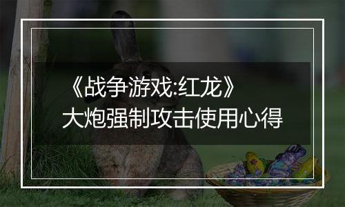 《战争游戏:红龙》 大炮强制攻击使用心得