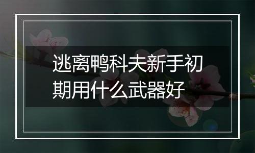 逃离鸭科夫新手初期用什么武器好