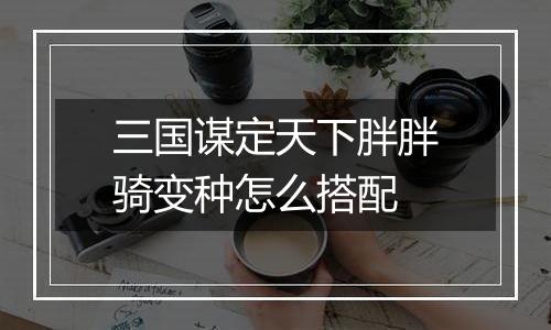 三国谋定天下胖胖骑变种怎么搭配