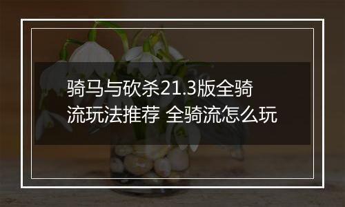 骑马与砍杀21.3版全骑流玩法推荐 全骑流怎么玩