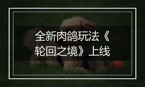 全新肉鸽玩法《轮回之境》上线