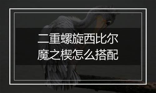 二重螺旋西比尔魔之楔怎么搭配
