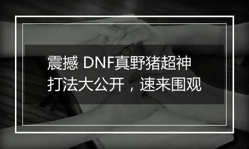 震撼 DNF真野猪超神打法大公开，速来围观