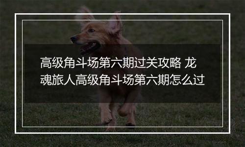 高级角斗场第六期过关攻略 龙魂旅人高级角斗场第六期怎么过