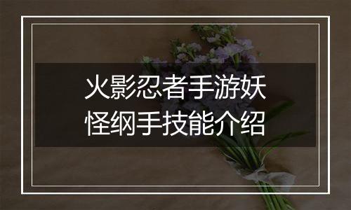 火影忍者手游妖怪纲手技能介绍