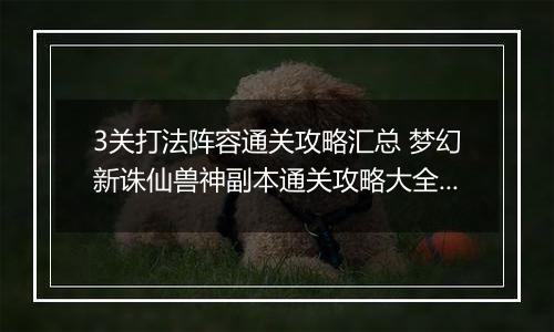 3关打法阵容通关攻略汇总 梦幻新诛仙兽神副本通关攻略大全，兽神副本1