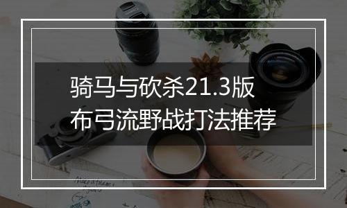骑马与砍杀21.3版布弓流野战打法推荐