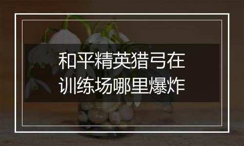 和平精英猎弓在训练场哪里爆炸