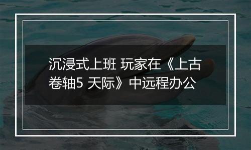 沉浸式上班 玩家在《上古卷轴5 天际》中远程办公