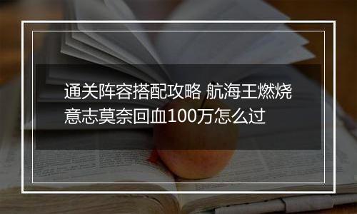 通关阵容搭配攻略 航海王燃烧意志莫奈回血100万怎么过