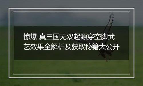 惊爆 真三国无双起源穿空脚武艺效果全解析及获取秘籍大公开