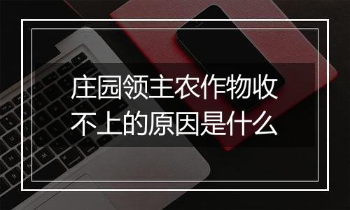 庄园领主农作物收不上的原因是什么
