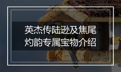 英杰传陆逊及焦尾灼韵专属宝物介绍