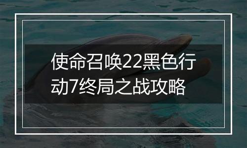 使命召唤22黑色行动7终局之战攻略