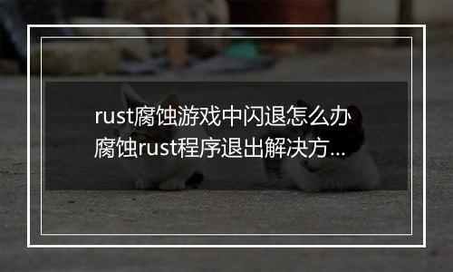 rust腐蚀游戏中闪退怎么办 腐蚀rust程序退出解决方法
