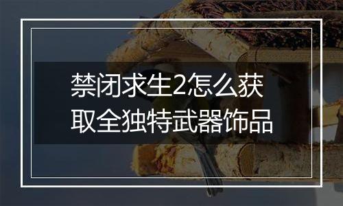 禁闭求生2怎么获取全独特武器饰品