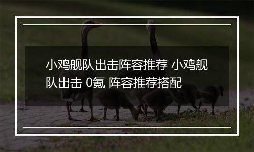 小鸡舰队出击阵容推荐 小鸡舰队出击 0氪 阵容推荐搭配