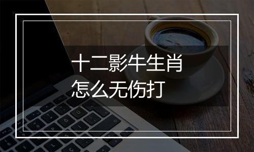 十二影牛生肖怎么无伤打