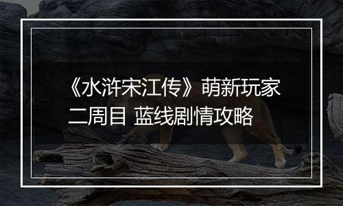 《水浒宋江传》萌新玩家 二周目 蓝线剧情攻略