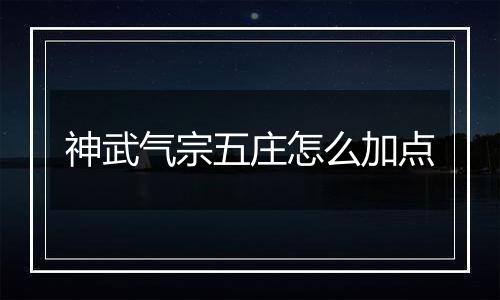 神武气宗五庄怎么加点