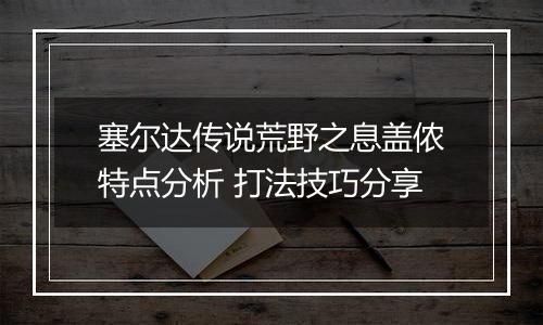 塞尔达传说荒野之息盖侬特点分析 打法技巧分享