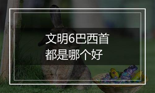 文明6巴西首都是哪个好