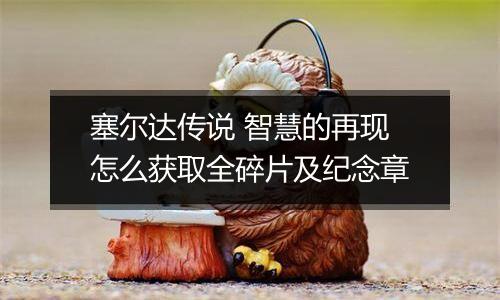 塞尔达传说 智慧的再现怎么获取全碎片及纪念章