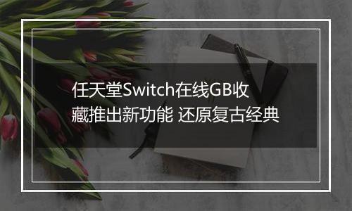 任天堂Switch在线GB收藏推出新功能 还原复古经典