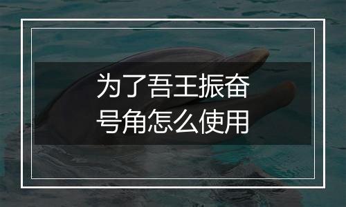 为了吾王振奋号角怎么使用