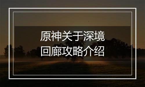 原神关于深境回廊攻略介绍