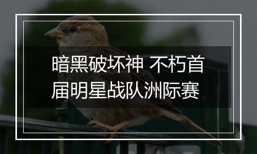 暗黑破坏神 不朽首届明星战队洲际赛