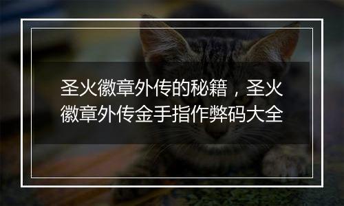 圣火徽章外传的秘籍，圣火徽章外传金手指作弊码大全