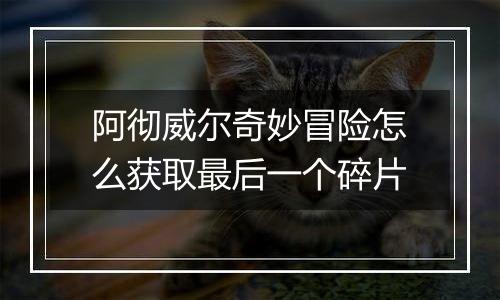 阿彻威尔奇妙冒险怎么获取最后一个碎片