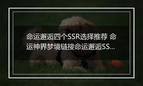 命运邂逅四个SSR选择推荐 命运神界梦境链接命运邂逅SSR选哪个