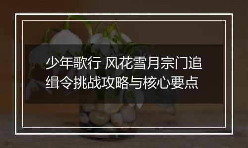 少年歌行 风花雪月宗门追缉令挑战攻略与核心要点