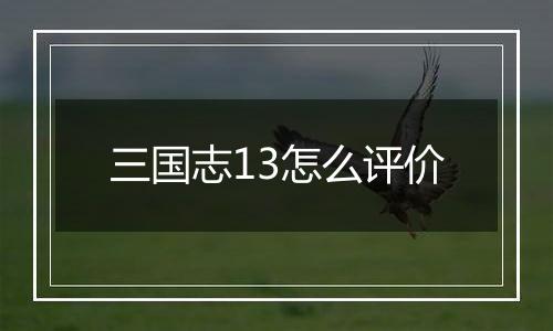 三国志13怎么评价