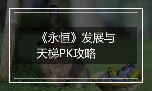 《永恒》发展与天梯PK攻略